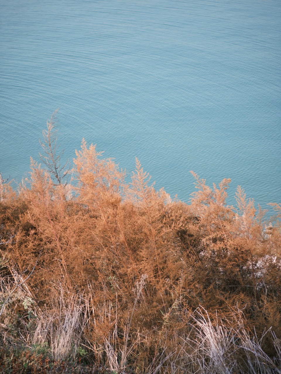 Yangtze River